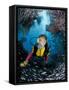Minnow Caves and Scuba Diver, Key Largo, Florida, USA-Michele Westmorland-Framed Stretched Canvas