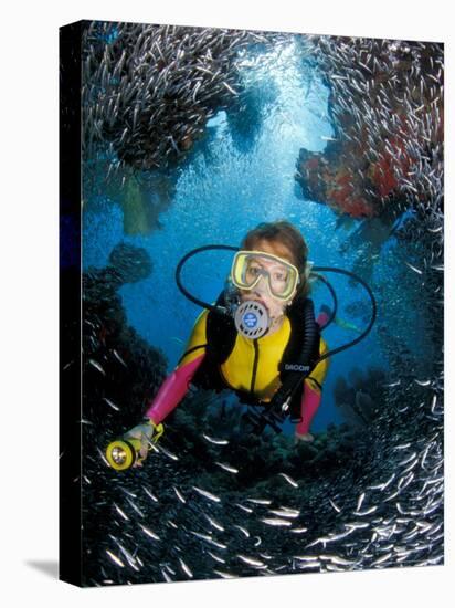 Minnow Caves and Scuba Diver, Key Largo, Florida, USA-Michele Westmorland-Stretched Canvas