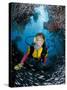 Minnow Caves and Scuba Diver, Key Largo, Florida, USA-Michele Westmorland-Stretched Canvas