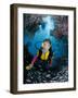 Minnow Caves and Scuba Diver, Key Largo, Florida, USA-Michele Westmorland-Framed Photographic Print