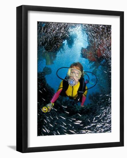 Minnow Caves and Scuba Diver, Key Largo, Florida, USA-Michele Westmorland-Framed Photographic Print