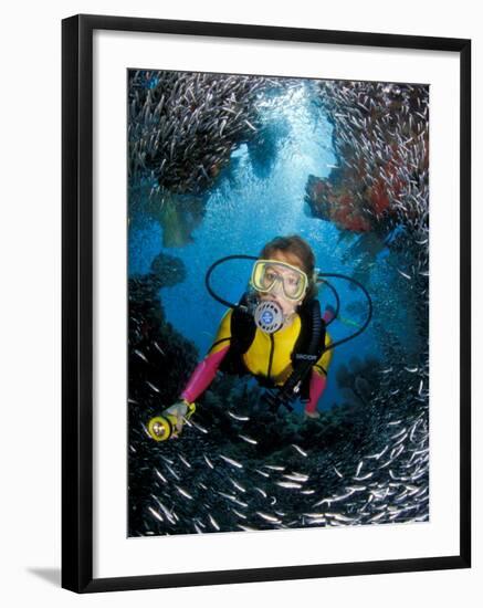 Minnow Caves and Scuba Diver, Key Largo, Florida, USA-Michele Westmorland-Framed Photographic Print