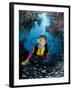 Minnow Caves and Scuba Diver, Key Largo, Florida, USA-Michele Westmorland-Framed Photographic Print