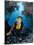 Minnow Caves and Scuba Diver, Key Largo, Florida, USA-Michele Westmorland-Mounted Photographic Print