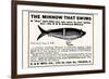 Minnow That Swims-null-Framed Art Print