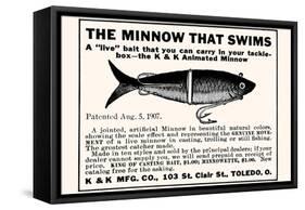 Minnow That Swims-null-Framed Stretched Canvas