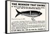 Minnow That Swims-null-Framed Stretched Canvas