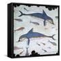 Minoan Wall-Painting of Dolphins-CM Dixon-Framed Stretched Canvas