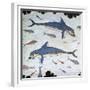 Minoan Wall-Painting of Dolphins-CM Dixon-Framed Giclee Print