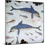 Minoan Wall-Painting of Dolphins-CM Dixon-Mounted Premium Giclee Print