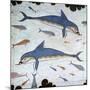 Minoan Wall-Painting of Dolphins-CM Dixon-Mounted Giclee Print