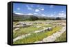 Minoian Palace, Excavation Site, Malia, Heraklion, Crete Island, Crete, Greece-Markus Lange-Framed Stretched Canvas