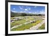 Minoian Palace, Excavation Site, Malia, Heraklion, Crete Island, Crete, Greece-Markus Lange-Framed Photographic Print