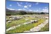 Minoian Palace, Excavation Site, Malia, Heraklion, Crete Island, Crete, Greece-Markus Lange-Mounted Photographic Print
