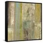 Minor Planets II-Carol Black-Framed Stretched Canvas