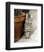 Minou-Joane Mcdermott-Framed Premium Giclee Print