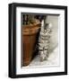 Minou-Joane Mcdermott-Framed Premium Giclee Print