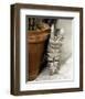 Minou-Joane Mcdermott-Framed Premium Giclee Print