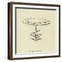 Minspysia Deliciosa-Edward Lear-Framed Giclee Print