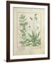 Mint and Plantain-Robinet Testard-Framed Giclee Print