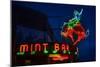 Mint Bar Neon Sheridan Wyoming-Steve Gadomski-Mounted Photographic Print