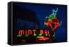 Mint Bar Neon Sheridan Wyoming-Steve Gadomski-Framed Stretched Canvas