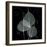 Mint Bo Tree-Albert Koetsier-Framed Photographic Print