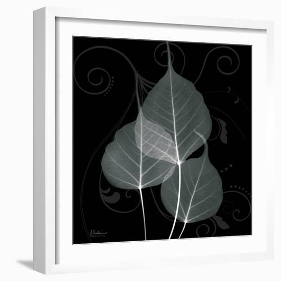 Mint Bo Tree-Albert Koetsier-Framed Photographic Print