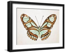 Mint Butterfly I-Annie Warren-Framed Art Print