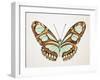 Mint Butterfly I-Annie Warren-Framed Art Print
