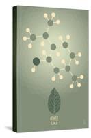 Mint - Chemical Elements-Lantern Press-Stretched Canvas