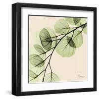 Mint Eucalyptus 1-Albert Koetsier-Framed Art Print