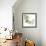 Mint Eucalyptus 2-Albert Koetsier-Framed Photographic Print displayed on a wall