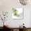Mint Eucalyptus 2-Albert Koetsier-Photographic Print displayed on a wall