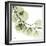 Mint Eucalyptus 2-Albert Koetsier-Framed Premium Photographic Print