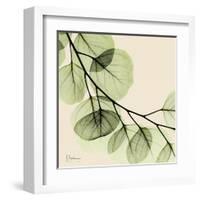 Mint Eucalyptus 2-Albert Koetsier-Framed Art Print