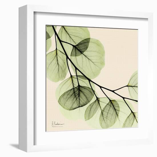 Mint Eucalyptus 2-Albert Koetsier-Framed Art Print