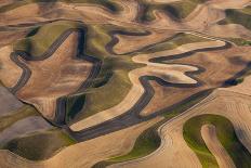 Wind Generators in the Landscape of the Altamira Pass, California-Mint Images - Art Wolfe-Photographic Print