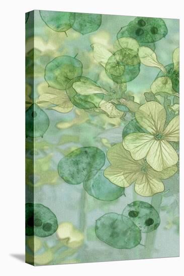 Mint Progeny I-Sharon Chandler-Stretched Canvas