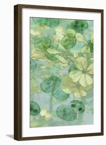 Mint Progeny I-Sharon Chandler-Framed Art Print