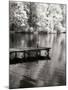 Mint Springs Lake BW V-Alan Hausenflock-Mounted Photographic Print
