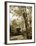 Mint Springs Lake I-Alan Hausenflock-Framed Photographic Print