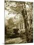 Mint Springs Lake I-Alan Hausenflock-Mounted Photographic Print