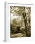Mint Springs Lake I-Alan Hausenflock-Framed Photographic Print