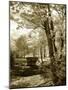 Mint Springs Lake I-Alan Hausenflock-Mounted Photographic Print