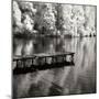 Mint Springs Lake Square III-Alan Hausenflock-Mounted Photographic Print