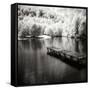 Mint Springs Lake Square IV-Alan Hausenflock-Framed Stretched Canvas