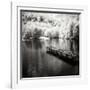 Mint Springs Lake Square IV-Alan Hausenflock-Framed Photographic Print