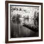 Mint Springs Lake Square IV-Alan Hausenflock-Framed Photographic Print