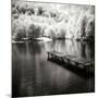 Mint Springs Lake Square IV-Alan Hausenflock-Mounted Photographic Print